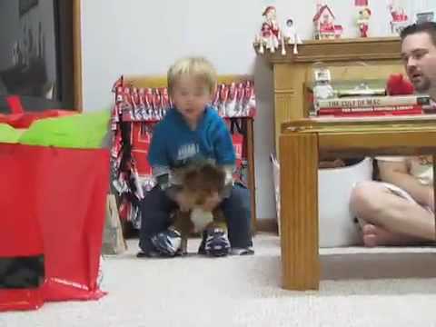 Bryson and the Reindeer