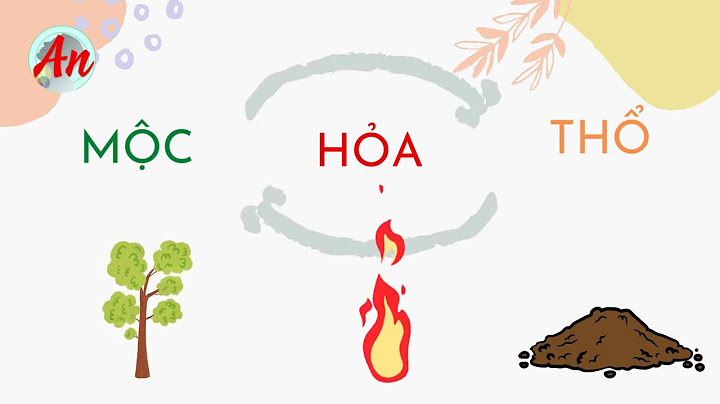 Bố kỷ tỵ mẹ tân mùi sinh con năm nào năm 2024