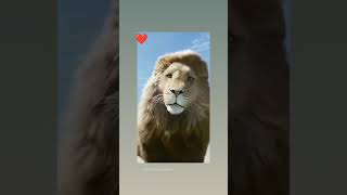 Download Lagu ##lion ringtone best on dj ## MP3