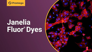 Janelia Fluor™ Dyes – Advanced Fluorescent Dyes for Super Resolution Microscopy