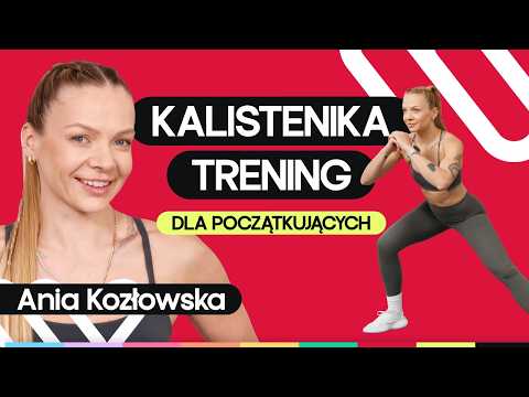 #003 Fitness 162 Calisthenics for beginners v1