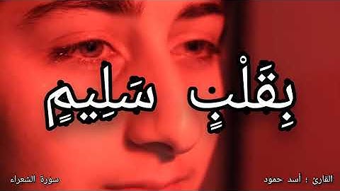 تلاوة | تفطر القلب | القارئ اسد حمود
