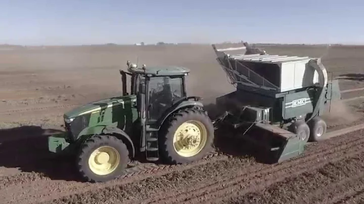 Hockley County Peanut Harvest: Preston Turner Farms