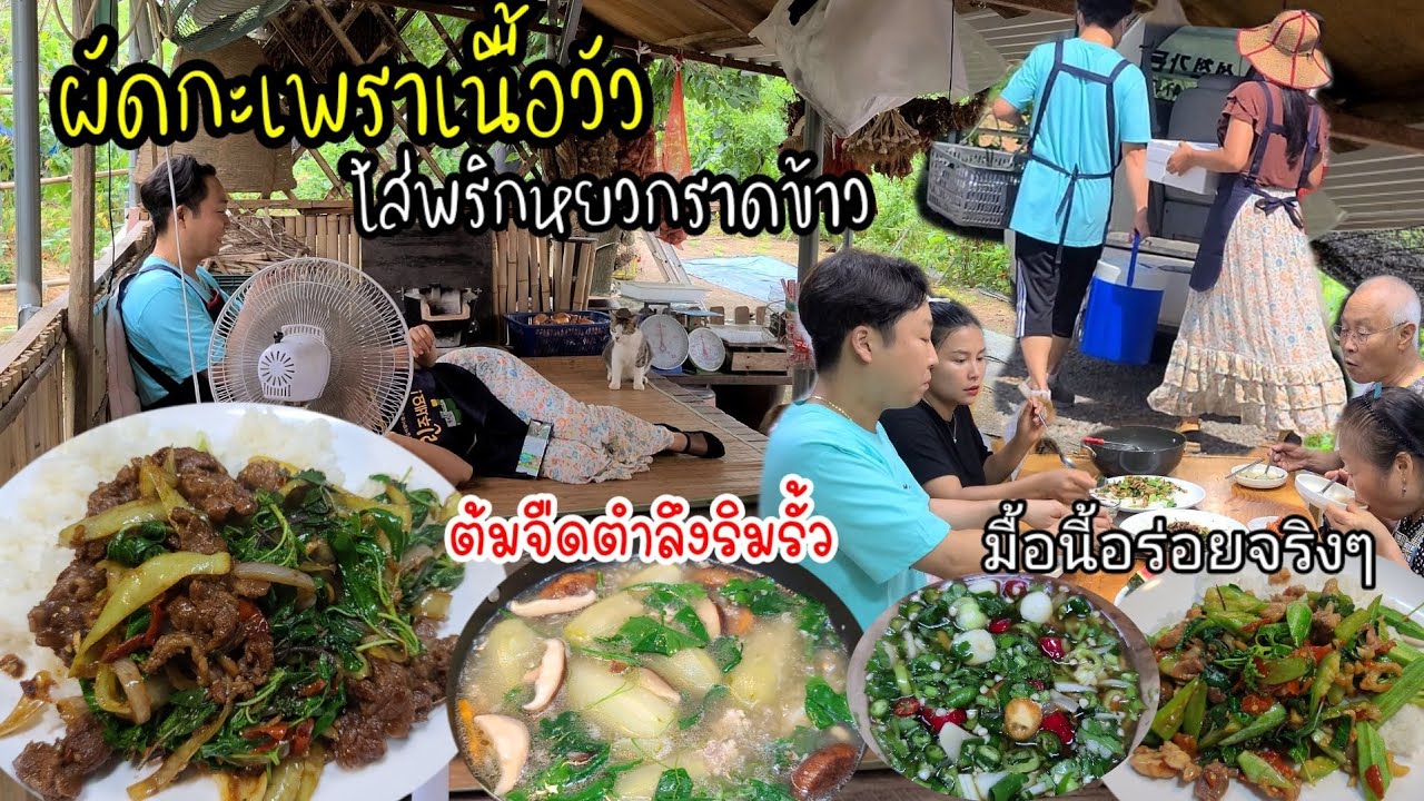 EP.548 ผัดกะเพราเนื้อวัว ใส่พริกหยวกราดข้าว พร้อมพริกน้ำปลารสเด็ด ,เเละผัดกะเพราไก่ใส่บวบงู