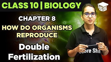 Class 10 Double Fertilization - Biology Chapter 8 | How Do Organisms Reproduce?