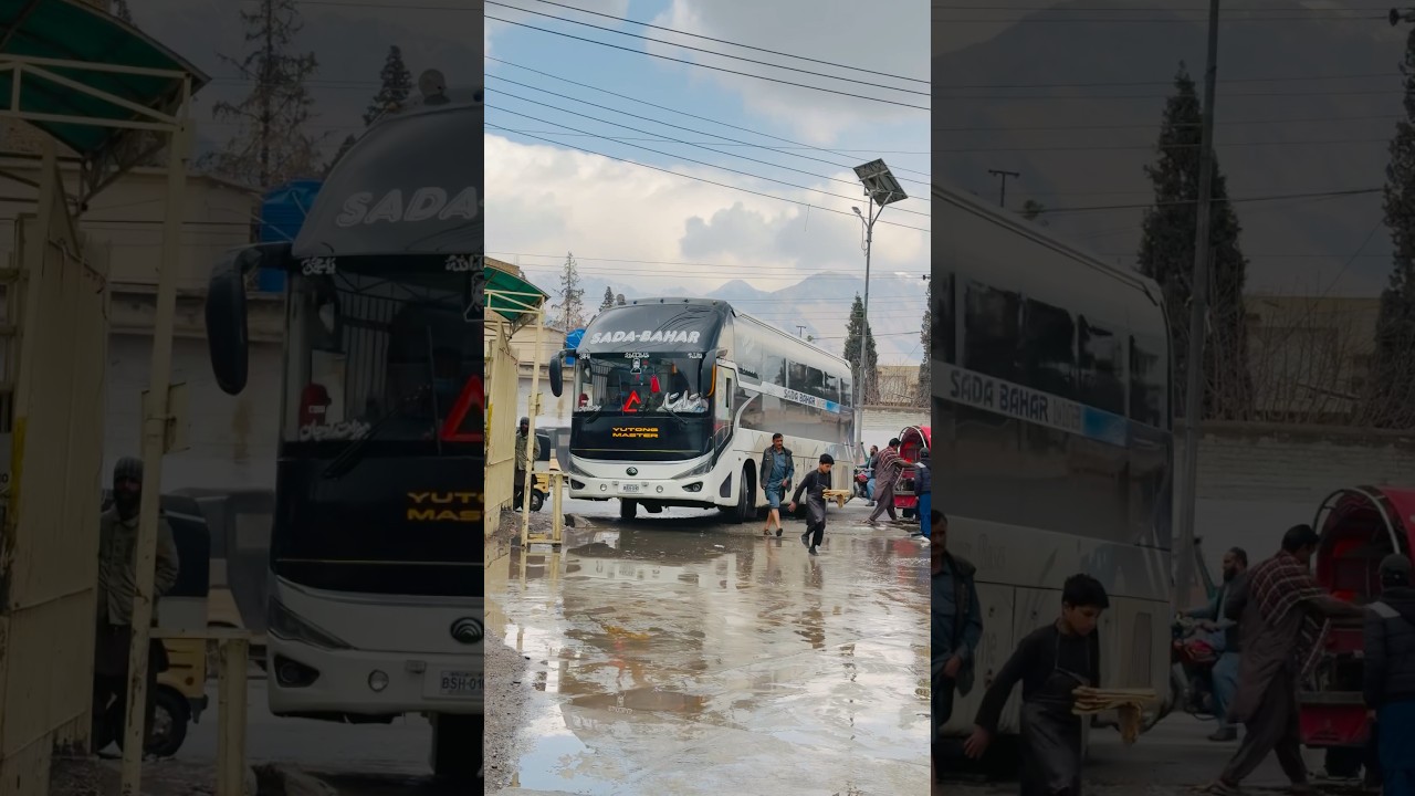 Sada Bahar Islamabad Sleeper Bus #sleeperbus #shorts