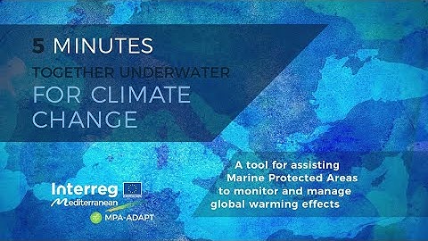 Tutorial Visual Census