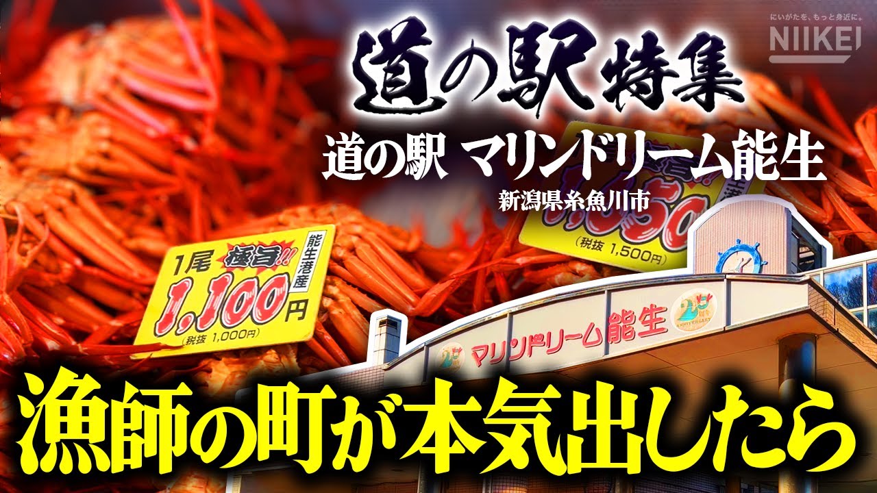 【道の駅特集】「マリンドリーム能生」実は埋め立て地だった？第１次産業を守ることからスタートした、漁師の町の道の駅（新潟県糸魚川市／かにや横丁）