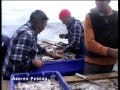 azores pescas 1parte