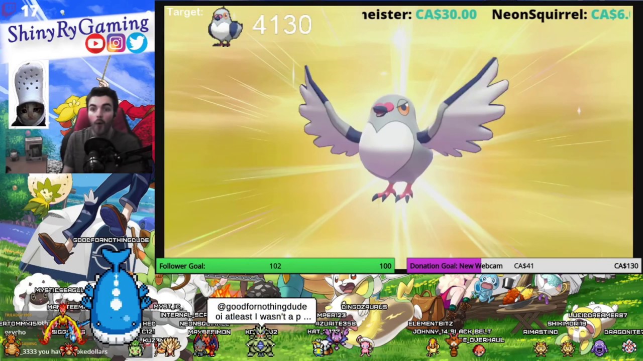 [LIVE] Shiny Pidove Reaction + Battle Royale Name Privilege After 4100 Encounters and 30 Eggs