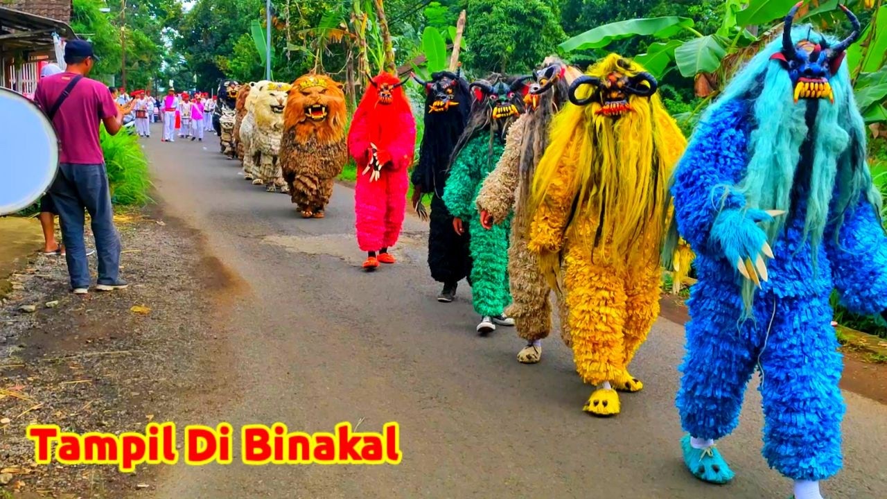 SERU ‼ Can macanan singo raung cilik di undang acara Imtihanan tampil di Curahdami