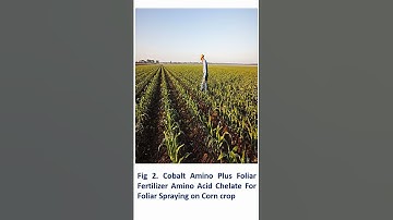 ROLE OF COBALT IN AGRICULTURE-DR P.C. PATEL