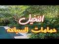 أيه هي النباتات اللي لازم تزرعها في حديقة حمام السباحه 