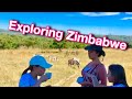 Safari in Zimbabwe - Day 2