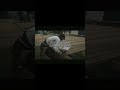worse than arthur dying #rdr2 #rdo #rdro #rdr2memes #reddeadredemption