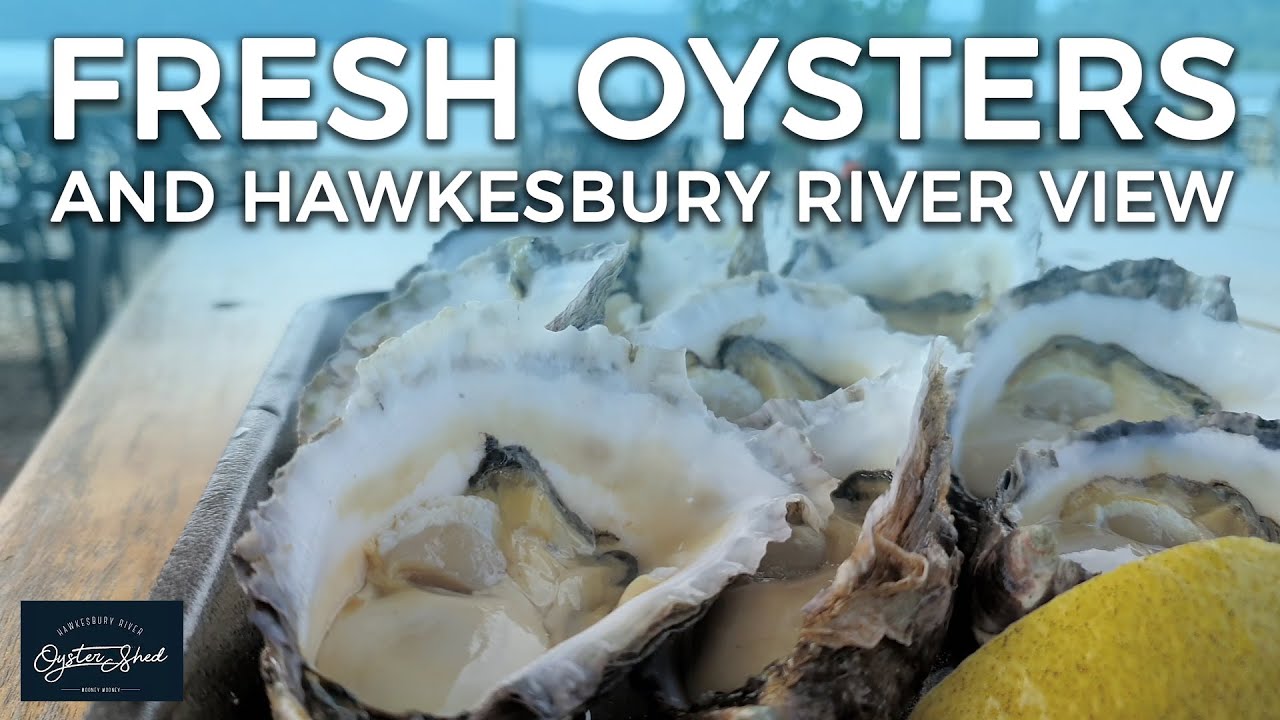 HAWKESBURY RIVER OYSTER SHED Mooney Mooney NSW Australia YouTube