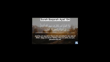 سورة البقرة أيت نمبر 153تا154 تلاوت قران كريم سعد أيوب #تلاوات #قرآن #سعد