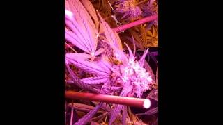 Shout outs for helping me fix my problem. Fixing my flush problem. Fixing the issue