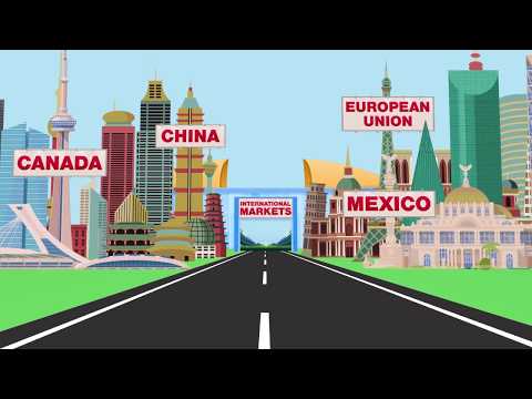 Paper And Wood Products And Trade