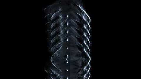 Autogenesis - Scatter