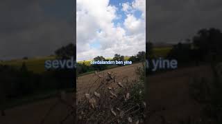 Taylan Kayakusura Bakma Anambeste