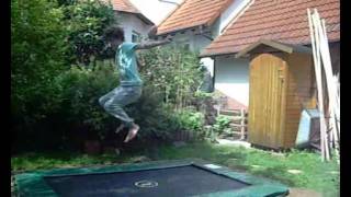 Trailer von Sampler 2012