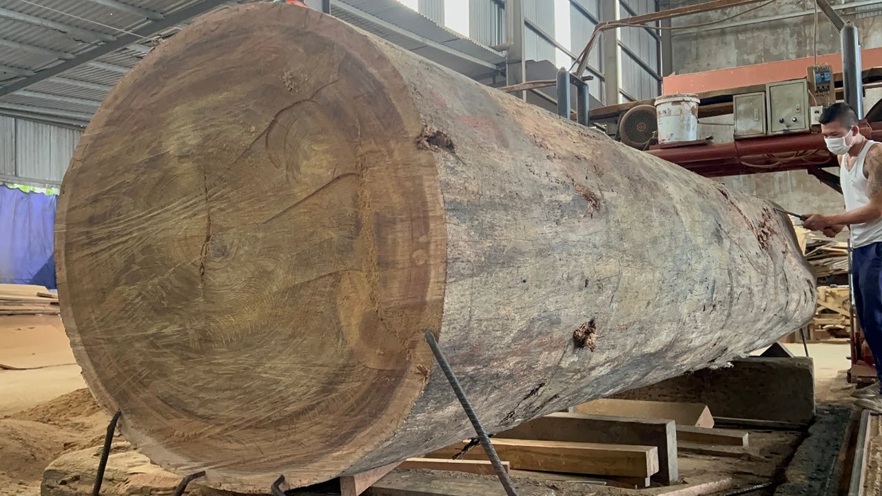 Amazing Woodworking Factory You must see | Sawn Giant Ironwood In The ...