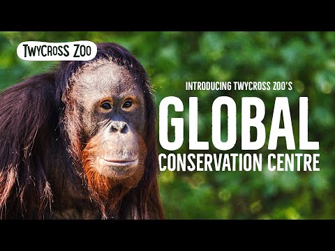 The Global Conservation
