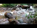 Babbling brook  relaxing piano music for study focus creativity meditation sleep 3 hrs