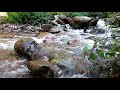 Babbling Brook Relaxing Piano Music For Study Focus Creativity Meditation Sleep 3 Hrs