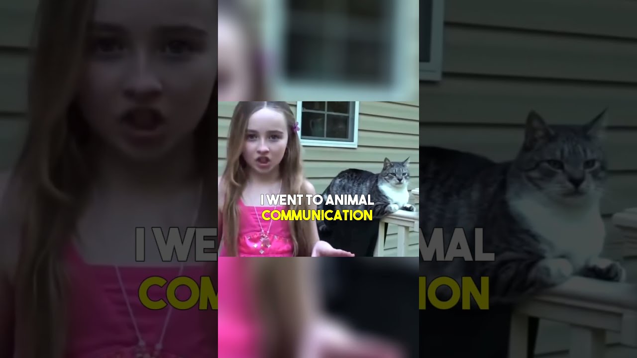 Sabrina Carpenter Jokingly Trying To Speak With A Cat 