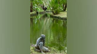 August 2026 Slideshow Tranquility