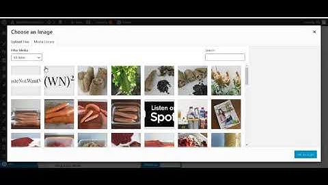 How to Change the Logo in the Divi Navigation Header