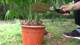 NEW Multifunctional Mini Garden Folding Portable Stainless Steel Shovel Garden Planting Vegetables