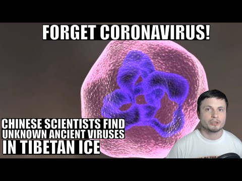 Video: In A Glacier In Tibet, 28 Viruses Unknown To Science Were Found - Alternative View