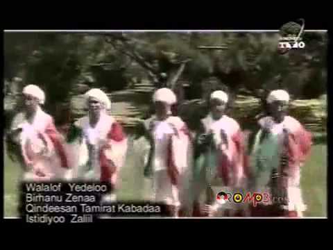 Bishiriya Borisha   Danuu Oromo Music