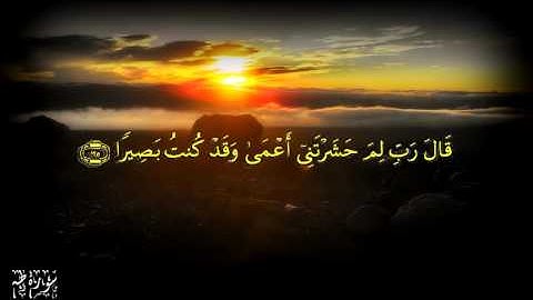 قال رب لم حشرتني أعمى وقد كنت بصيرا - سورة طه الآيات 124-126