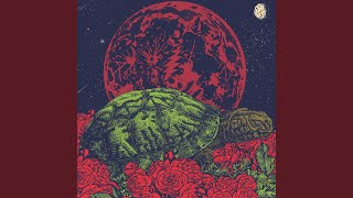 Estimated Prophet (Live at Coast Credit Union Music Park at Walnut Creek, Raleigh, NC 6/9/18)