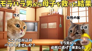 俺が経営する民宿でモラハラ夫から逃げて来た母子をかくまった話【猫ミーム】