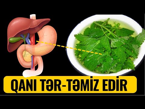 Video: KOAH alevlenmesi üçün antibiotik istifadə edirsiniz?