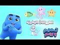 الحيوانات البحرية لغة الإشارة تميم و ريم