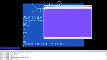 AtariBBS - ASCII/ATASCII Screen Support