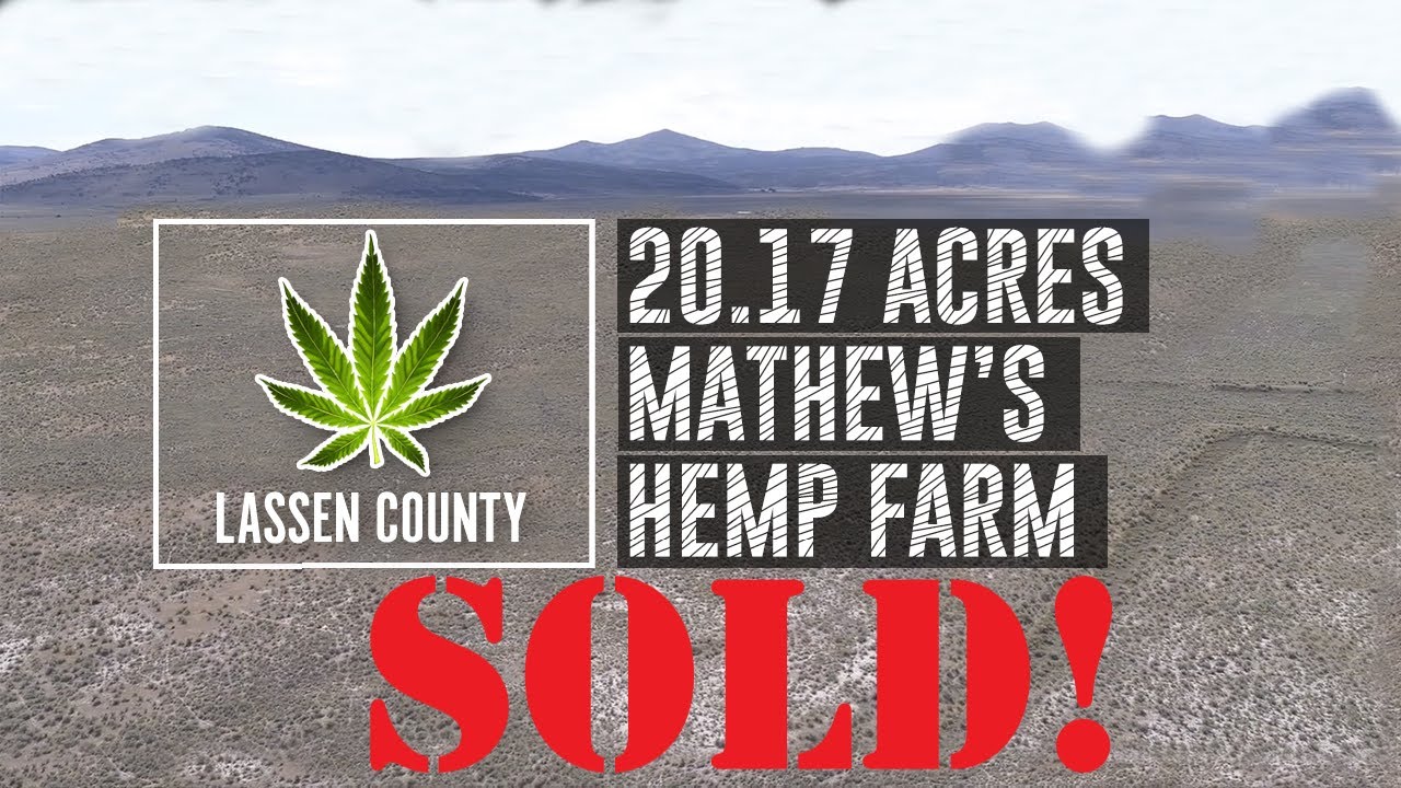 20.17 Acre Hemp Cultivation Plot SOLD! YouTube