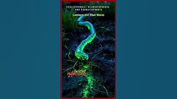 Luminescent Mud Worm