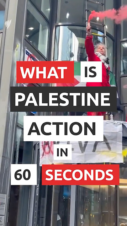 What is Palestine Action in 60 Seconds
