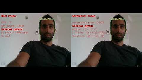 adversarial face recognition