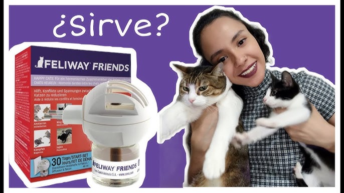 Feliway Friends para gatos (feromonas)