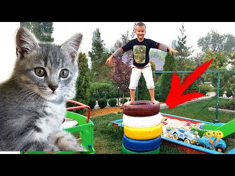 Котенок МАКС и БАТУТ. Challenge кто быстрее