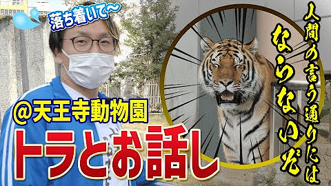 動物と話そう 教えて あつし先生 Youtube 動物と話そう 教えて あつし先生 Youtube