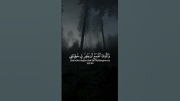 ستوريات الصباح القران الكريم #القرآن_الكريم #اكتب_شي_تؤجر_عليه #قرآن #راحة_نفسية #لايك #اكسبلور